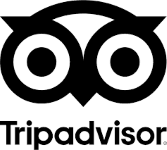 tripadvisor reviews