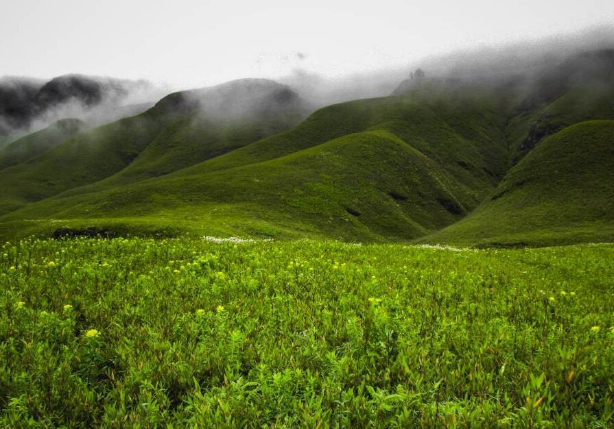 Dzukou Valley in Nagaland