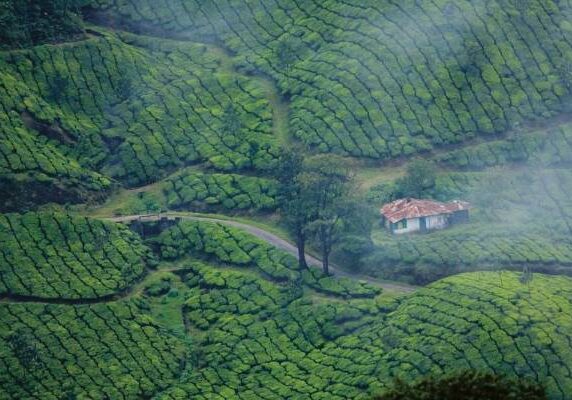 Munnar